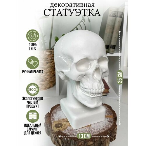 ���� ����� �� ����������