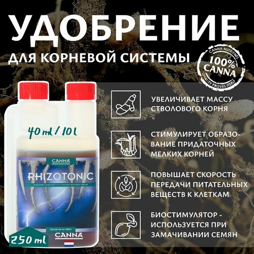      Canna Rhizotonic 0.25 .  -     , -  