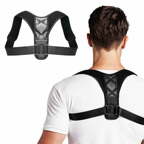     /     Posture Support NY-15 ,  ()  -     , -  