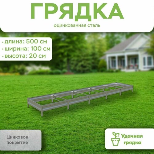 ���� ������ ������������, ����� 5 ������, ������ 1 ����, ������ ����� 20 ��