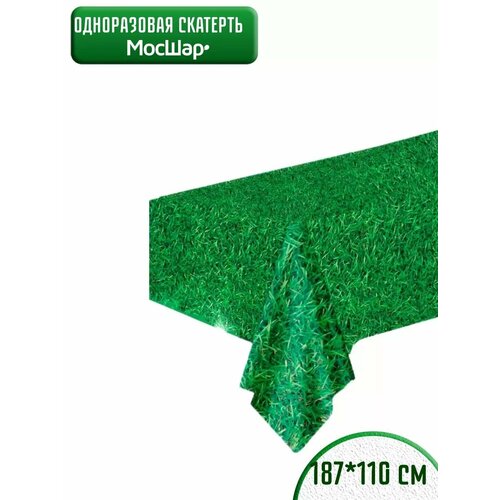 ���� �������� ������, ��� ��� ��������, �����������, 110�187��