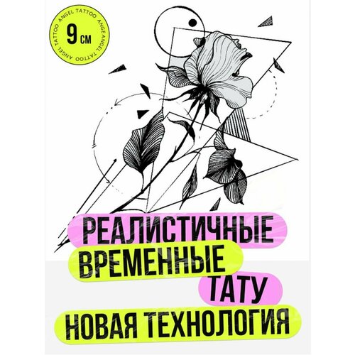 ���� ���� ���������� �������������� �������� ���������