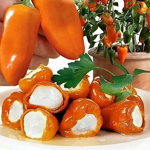 ���� ������������� ������ ����� �������� ���� ������� ����� F1