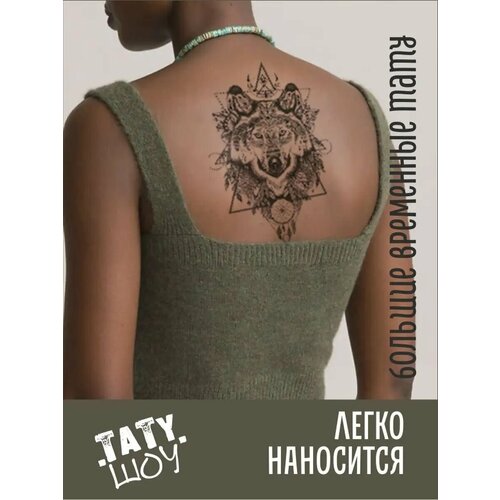 ���� ���� �������� ����