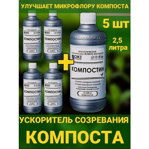 ���� ���������, 2.5� ���������� ���������� ��������