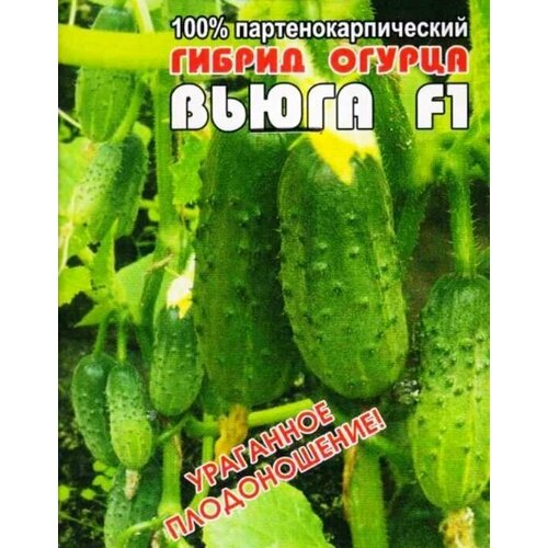 ���� ������������� ������ ������ ����� F1