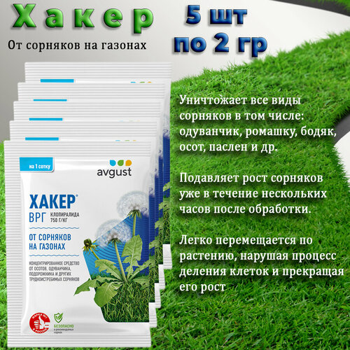 ���� ����� �� �������� �� ������ 5 �� �� 2 ��