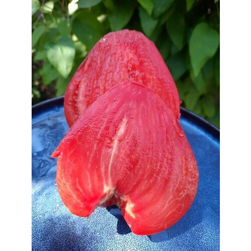 ���� ������������� ������ ������ ������� �������