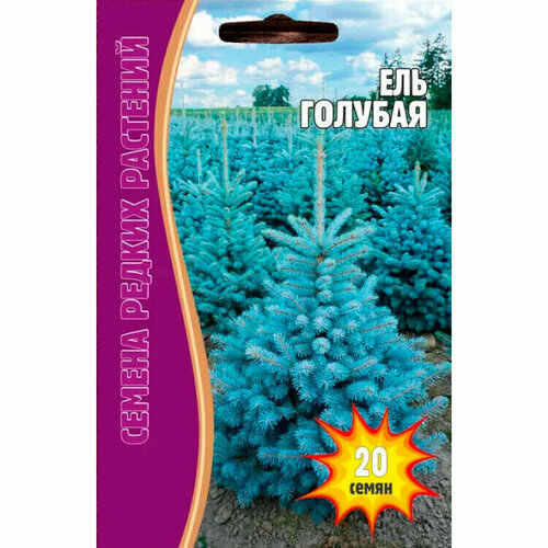 ���� ��� ������� 20 �� ������ ������ ( 2 �� � ������)