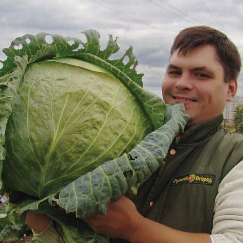 ���� ������ ������� �/� ������� ������ 50 ��.