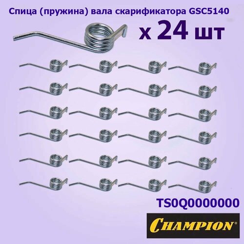    ()   GSC4840,5140 CHAMPION 24. TS0Q0000000  -     , -  