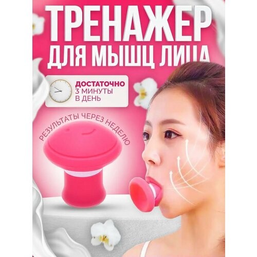 ���� �������� �������� ��� ���� ��������