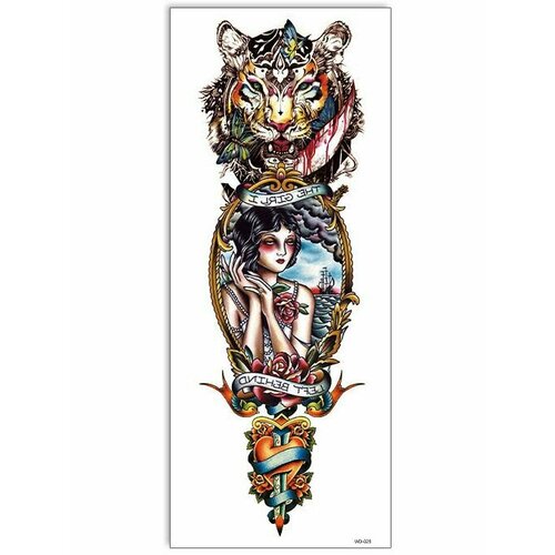 ���� ���������� ��������� ���� ����� �� �������� / 43 � 15 �� ����