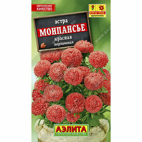 ���� ������ ����� ��������� ������ 