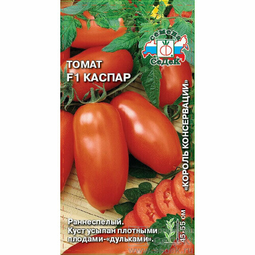 ���� ������ ������ ����� 