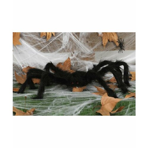 ���� ��������� �� ��������: ������ �������� ����, 60 �� (17165)