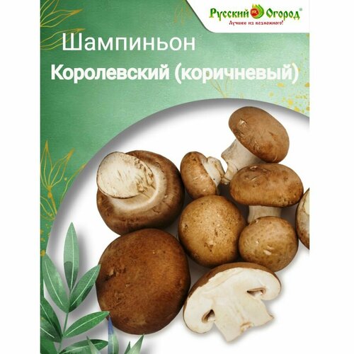 ���� ��������� ����������� (����������)