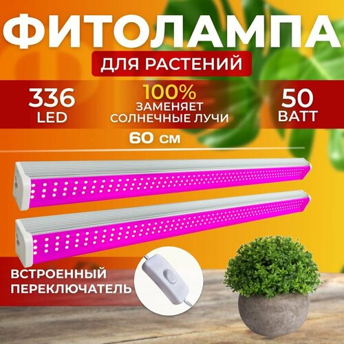         ,     ,     ,  336 LED 50   -     , -  