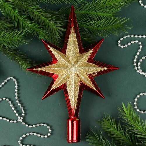 ���� �������� �� ���� ������ 23 �� / �������