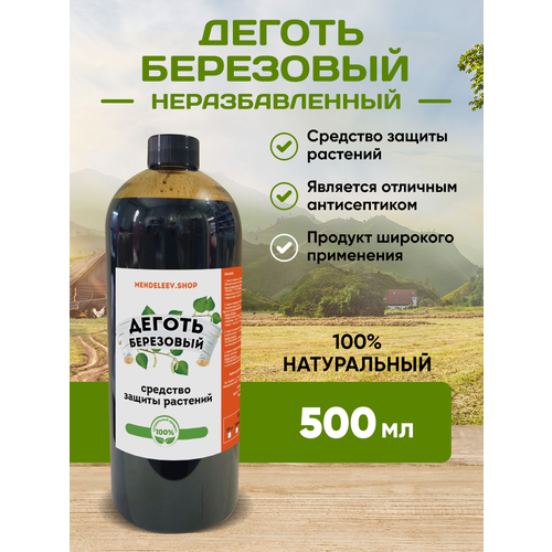 ���� ������ ��������� 500 ��