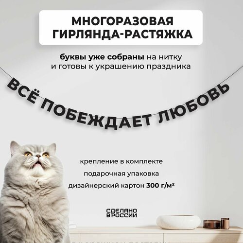 ���� ��������-�������� �������� �Ѩ ��������� ������ (240 ��) - ������ ����� � �������� ������� ���� ��� �������� ��������