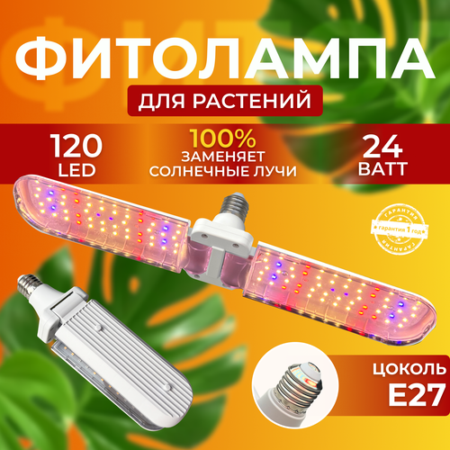             ,   120 LED 24   -     , -,   