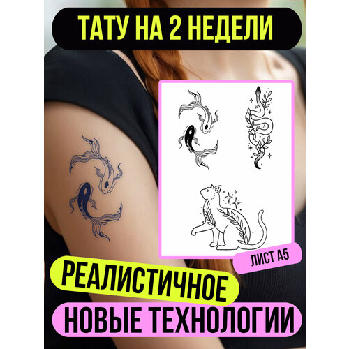 ���� ���� ���������� �������������� ��������