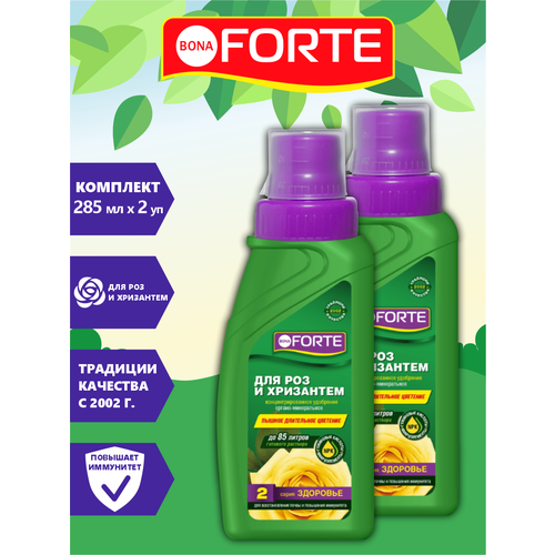    Bona Forte       285 . x 2 .  -     , -,   