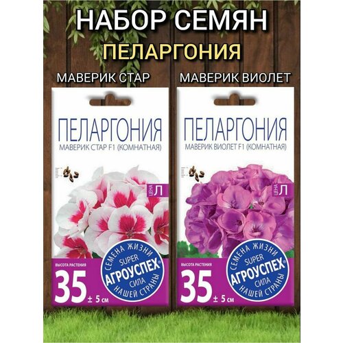 ���� ������ ��������� ������ ��������� ���������� ����� �������: ���� � ������