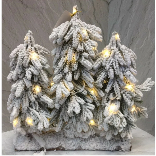 ���� ���������� ������������ ������ 