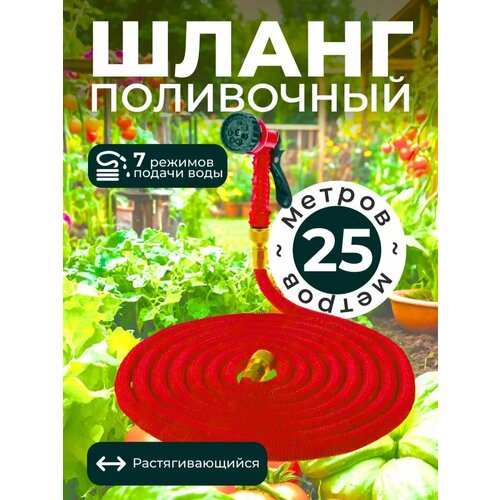 ���� ����� ������� ���������� ���������������