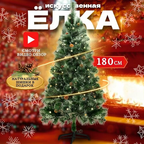 ���� ������������� ���� ���������, �� ���, 180 ��, ��������, �����