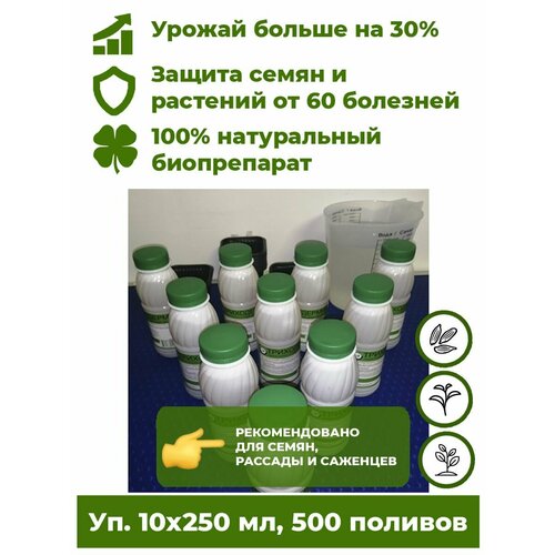 ���� ���������� ���������� - ����������� ������ 10 ���. �250�� ����������� ��������� ��� �������� ������ ����. ����� �������� �� ����� 60 ��������, �������� ����������� �� 30%.