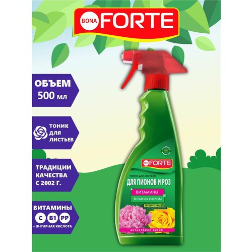   Bona Forte         500 .  -     , -,   