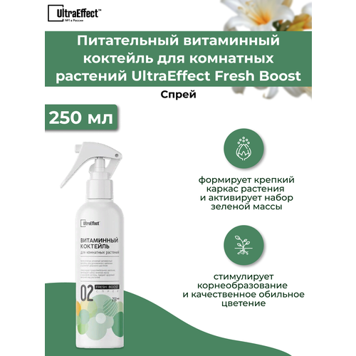      Fresh Boost 250  ()  -     , -,   