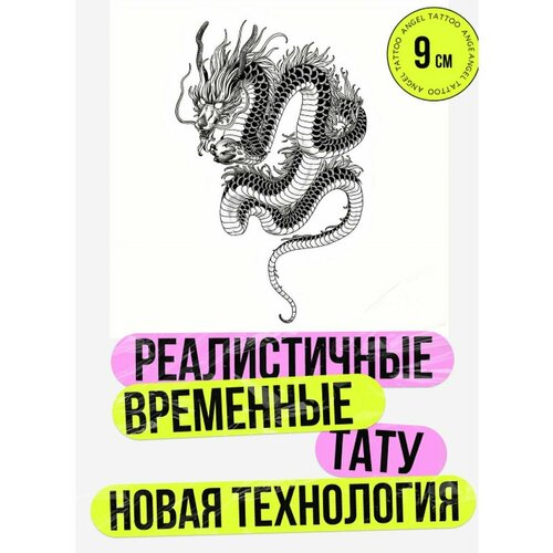 ���� ���� ���������� �������������� �������� ������