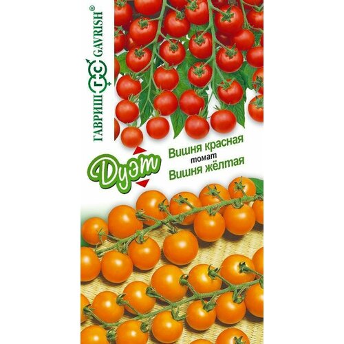 ���� ������ ����� ����� ������+����� ������� 0,1� (������) ����� ����