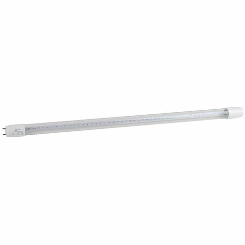      9  8 G13 LED - 