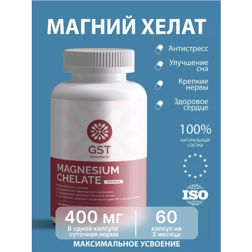 ���� ������ ����� GST 60 ������