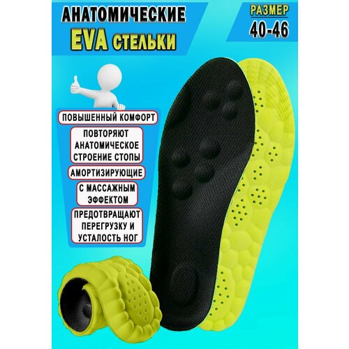     Nateno Bubble       40-46  /        -     , -  