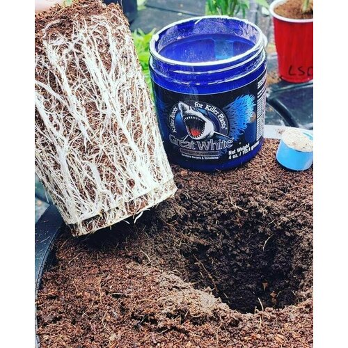   Great White Premium Mycorrhizae Plant Success 113.4    -     , -,   