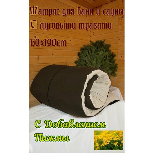 ���� SENO OK ������ ��� ���� � ����� � �������� ������� � ����������� �����