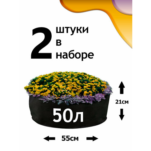���� ������ �� ����������� - 50� - 2��