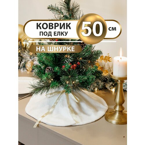 ���� ������ ��� ���� ������ ��� ����