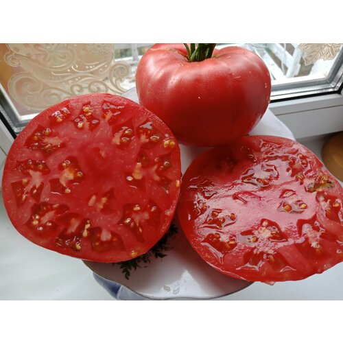 ���� ������������� ������ ������ ����������� ��������� ������