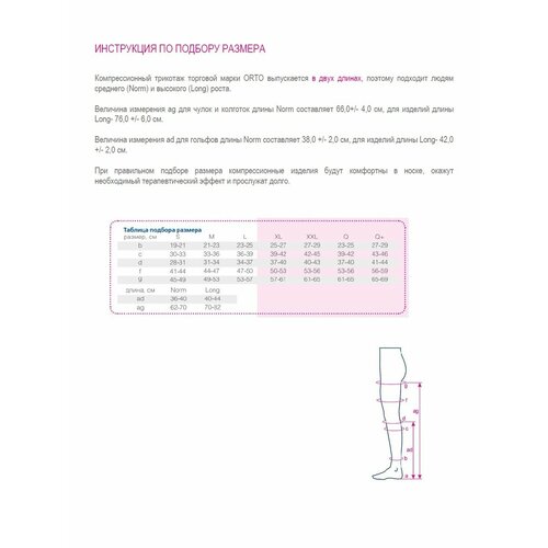  ORTO     1  (18-22  . .)/ / NORMAL L