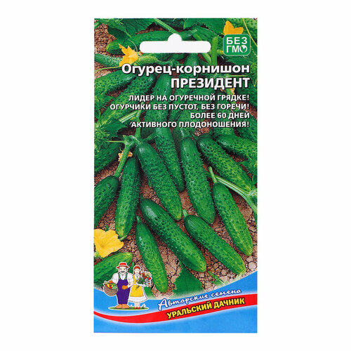 ���� ������ ������ 