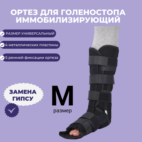 ���� ����� ���������������� �� ������������� ������, � �������������� ����������. ����� ����������� ����������������� , ��� �������, �������, ���������, ������ � �����������. ������� / �������, ����� /������ - (�)