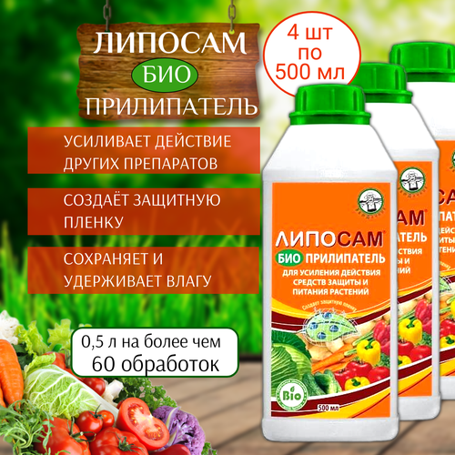 ���� ��������� ����������� ������� 500 ��, 4 ��