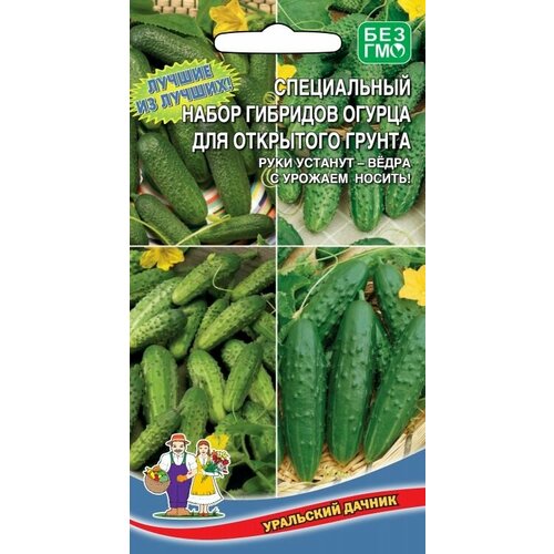 ���� ������ ����������� ����� ������ �������� ��� ��������� ������, 1 �����, ������ 12 ��, ��������� ������